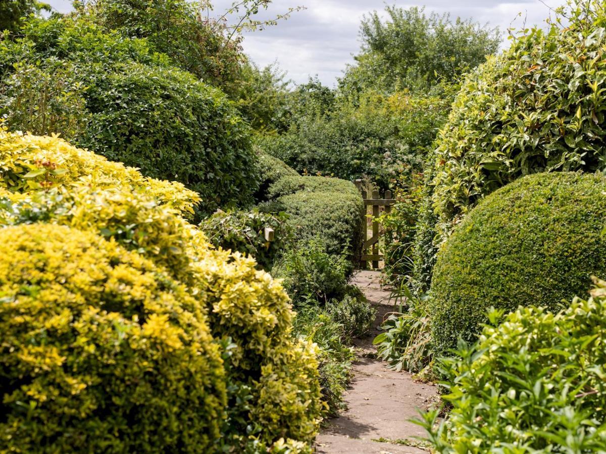 Pass The Keys Cosy Cottage With Views Over The Shropshire Hills Ludlow Eksteriør bilde